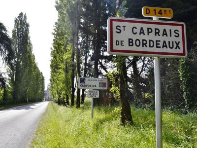 Location Appartement SAINT-CAPRAIS-DE-BORDEAUX 33880