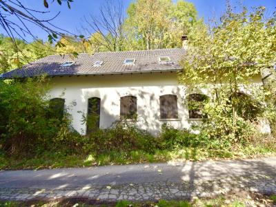 Vente Maison 5 pices LALAYE 67220
