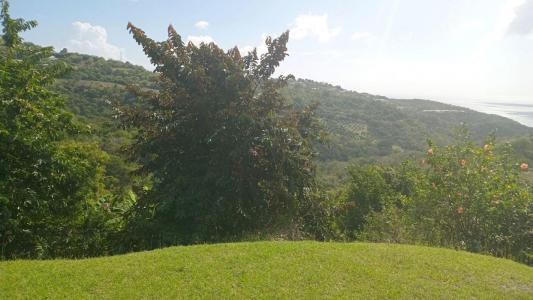 Vente Terrain CARBET 97221