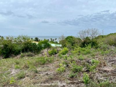 Vente Terrain VAUCLIN 97280