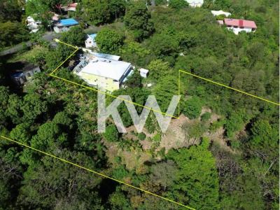 Vente Terrain BAILLIF 97123