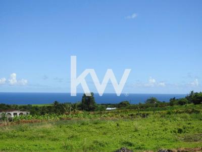 Vente Terrain BASSE-POINTE 97218