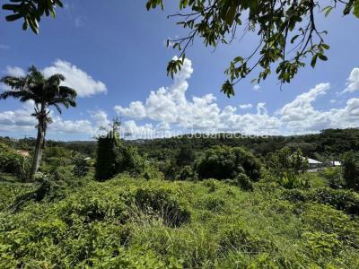 Vente Terrain SAINT-JOSEPH 97212