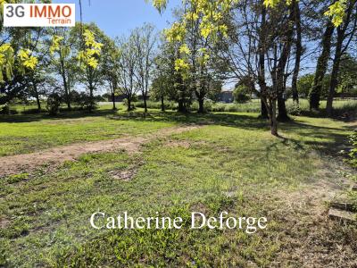 Vente Terrain PRIGNAC-ET-MARCAMPS 33710