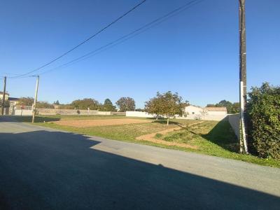 Vente Terrain SAINT-SATURNIN-DU-BOIS 17700