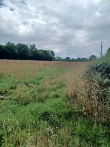 Vente Terrain LANDEPEREUSE 27410