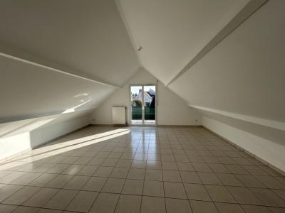 Location Appartement 3 pices CHENY 89400