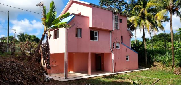 Vente Maison 5 pices GROS-MORNE 97213