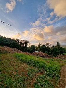 Vente Terrain LAMENTIN 97232
