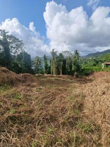 Vente Terrain LAMENTIN 97232