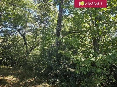 Vente Terrain ANTIST 65200