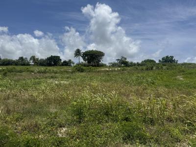 Vente Terrain PETIT-CANAL 97131