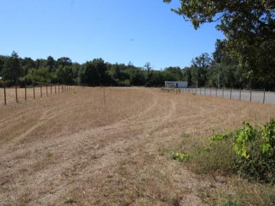 Vente Terrain CHATELLERAULT 86100