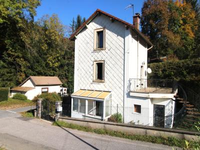 Vente Maison 4 pices SAINT-MAURICE-SUR-MOSELLE 88560