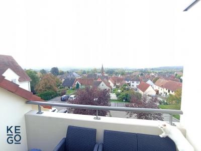 Location Appartement 2 pices HOCHFELDEN 67270