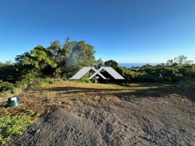 Vente Terrain SAINT-JOSEPH 97480
