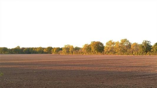 Vente Terrain JEU-LES-BOIS 36120
