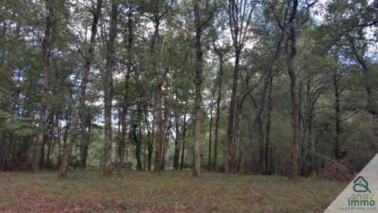 Vente Terrain BLANQUEFORT 33290