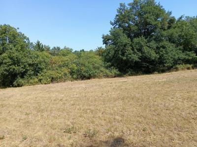 Vente Terrain SAIX 81710