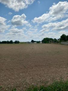 Vente Terrain THOU 17290