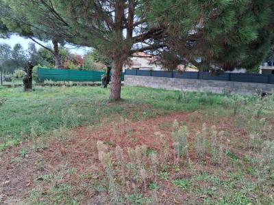 Vente Terrain CORNAS 07130