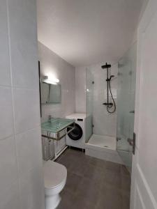 Vente Appartement 2 pices SCHILTIGHEIM 67300