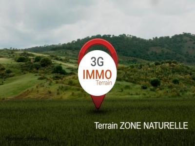 Vente Terrain NOHANENT 63830