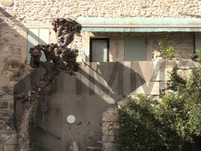 Vente Maison 7 pi�ces AIGALIERS 30700