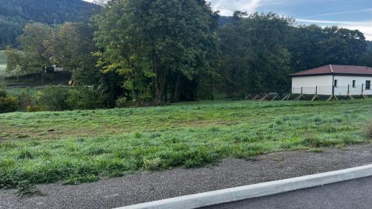 Vente Terrain BOURG-ARGENTAL 42220