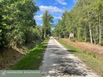 Vente Prestige NEUVY-SUR-BARANGEON 18330