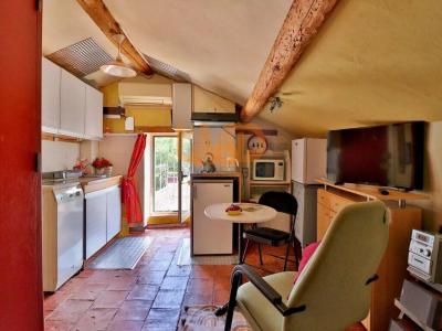 Vente Appartement LAMALOU-LES-BAINS 34240