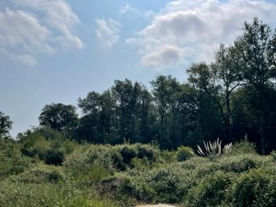 Vente Terrain SALLEBOEUF 33370