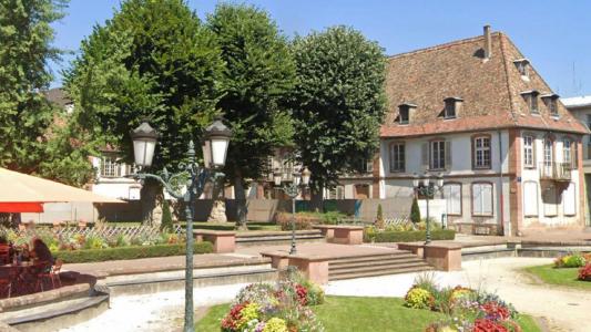 Location Appartement 2 pices HAGUENAU 67500