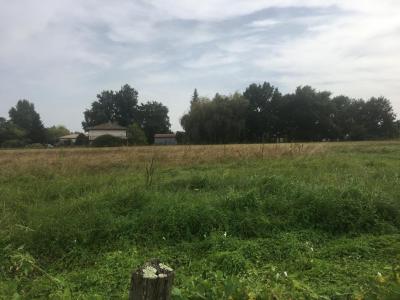 Vente Terrain MONTENDRE 17130