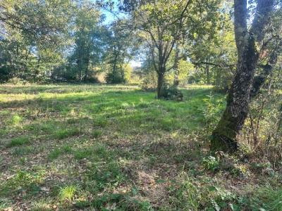 Vente Maison 4 pices PIN-BALMA 31130