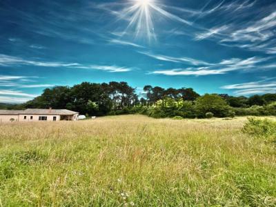 Vente Terrain MONTAGNAC-LA-CREMPSE 24140