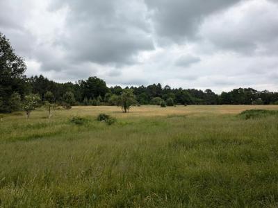 Vente Terrain CERCOUX 17270