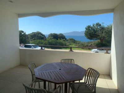 Vente Appartement 2 pices PIETROSELLA 20166