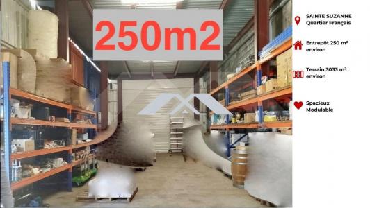 Location Commerce SAINTE-SUZANNE 97441