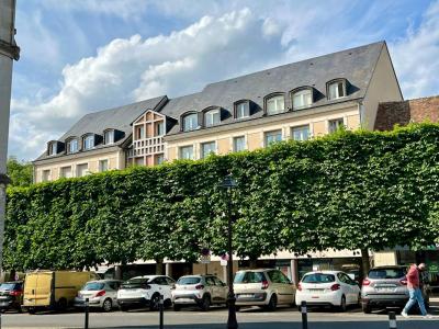 Vente Appartement 3 pices VENDOME 41100
