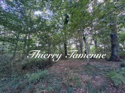 Vente Terrain SAINT-PE-SAINT-SIMON 47170