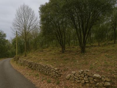 Vente Terrain SAINT-MARTIN-DE-VALGALGUES 30520