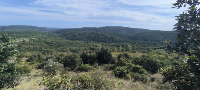 Vente Terrain MOUREZE 34800