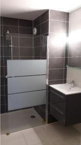 Location Appartement 2 pices HAGUENAU 67500