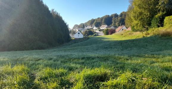 Vente Terrain AUMALE 76390