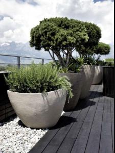 Vente Appartement 2 pices FERNEY-VOLTAIRE 01210