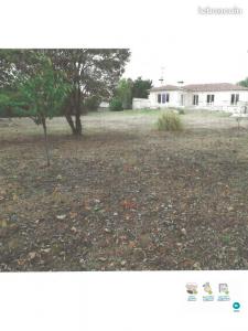 Location Maison 5 pices PIBRAC 31820