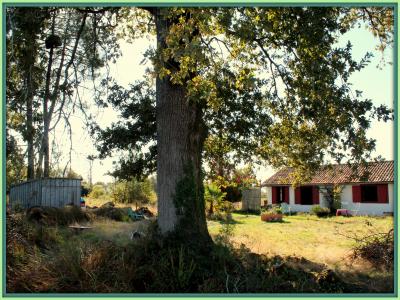 Vente Maison 3 pices BELIN-BELIET 33830