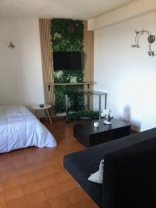 Location Appartement BIGUGLIA 20620