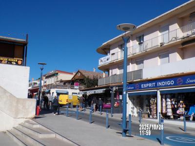 Vente Appartement 3 pices FLEURY 11560